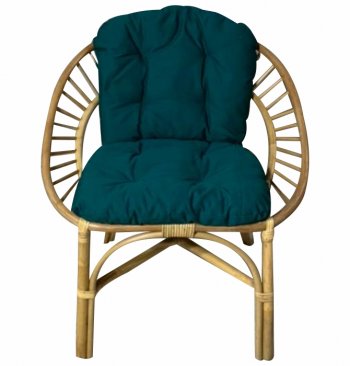 Кресло RJG-Princess (Ротанг №4, ткань JPN DRILL 034) в Удачном - mebel154.com