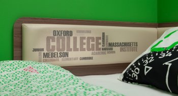 Кровать софа с ящиками Колледж в Удачном - mebel154.com