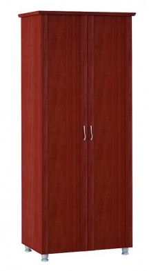 Шкаф для одежды 2-х дверный 3 Элегия в Удачном - mebel154.com