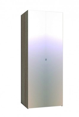 Шкаф для одежды 2-х дверный 35-3 WYSPAA в Удачном - mebel154.com