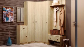 Шкаф для одежды Тифани-1 в Удачном - mebel154.com
