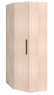 Шкаф для одежды угловой 12 Bauhaus в Удачном - mebel154.com