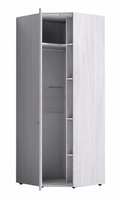Шкаф для одежды угловой 56-2 Paola в Удачном - mebel154.com